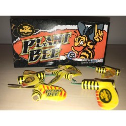 Plant bee 10ks